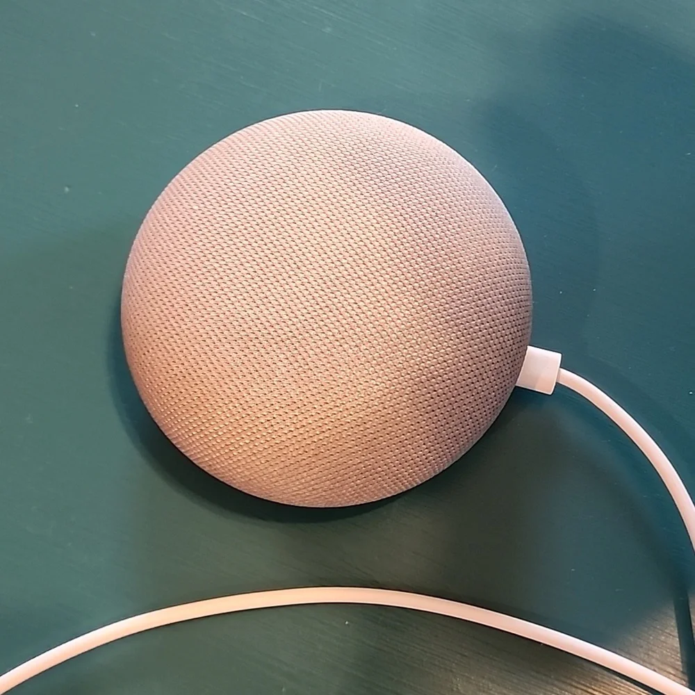 Google Home Mini Device